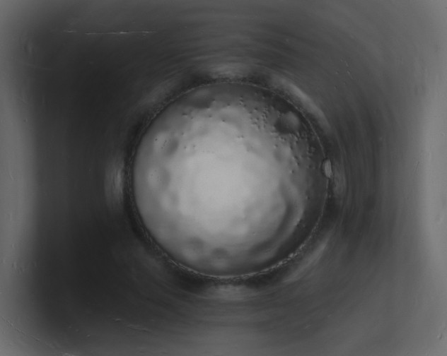 X0000101670637200807101401
