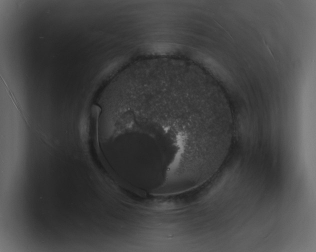 X0000101670640200807101401