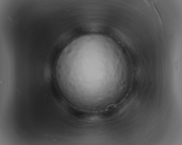 X0000101670643200807101401