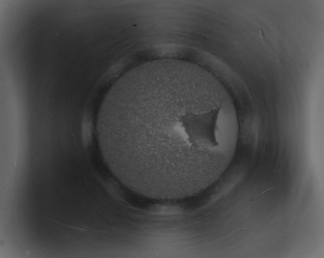 X0000101670644200807101401