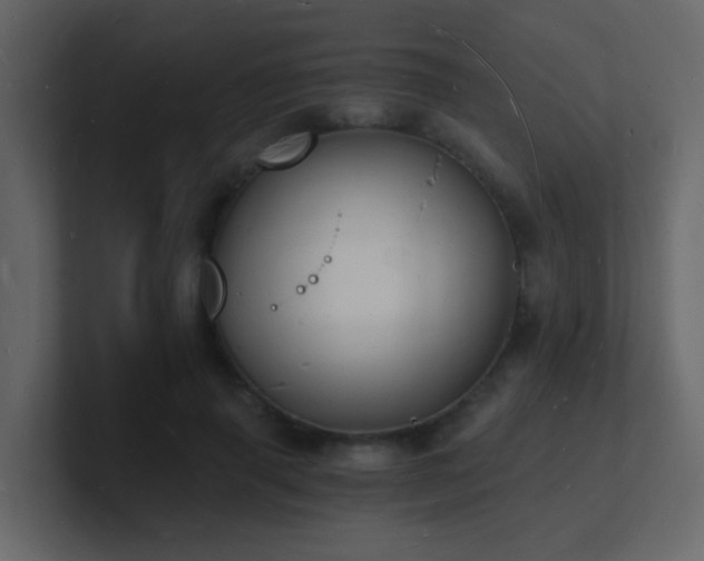 X0000101670645200807101401