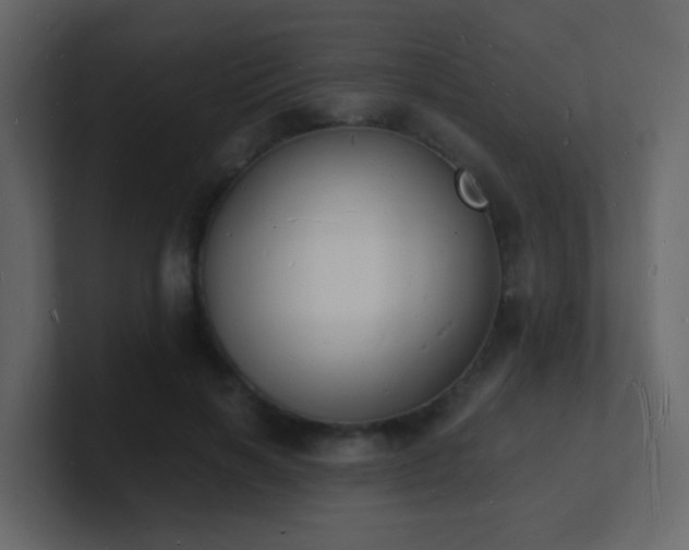 X0000101670646200807101401
