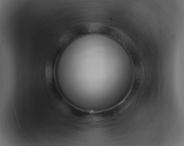 X0000101670648200807101401