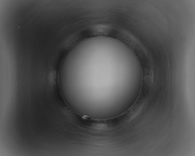 X0000101670649200807101401