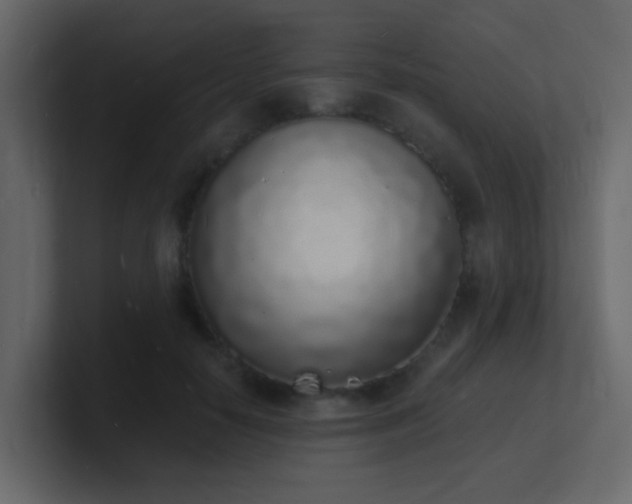 X0000101670650200807101401