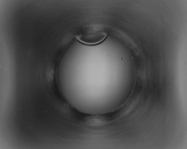 X0000101670652200807101401
