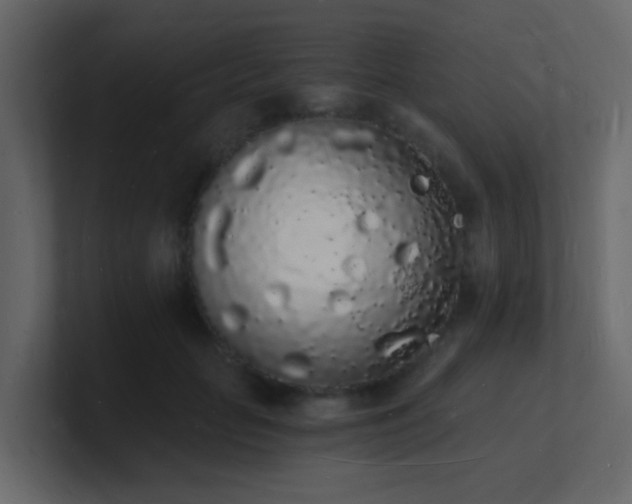 X0000101670653200807101401