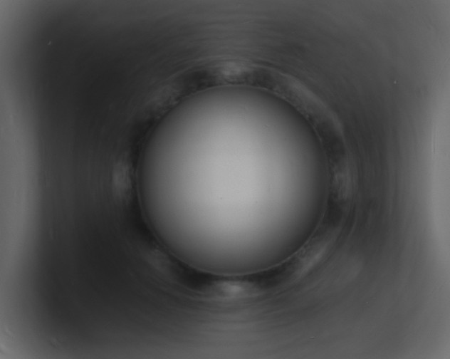 X0000101670654200807101401