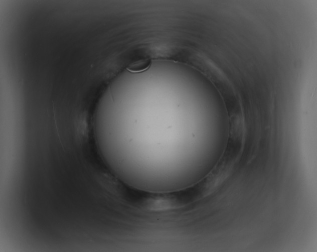 X0000101670655200807101401