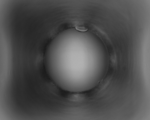 X0000101670657200807101401