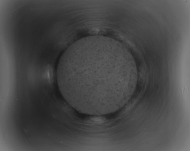 X0000101670659200807101401