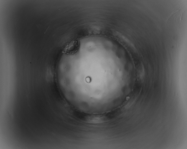 X0000101670661200807101401