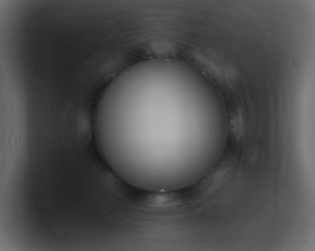 X0000101670662200807101401
