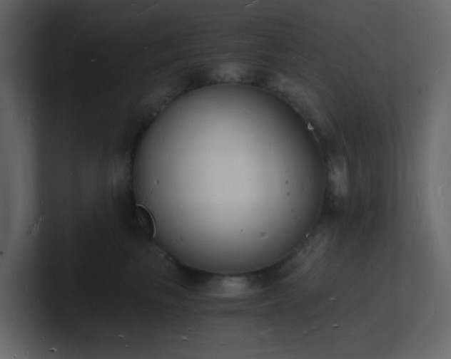 X0000101670665200807101401