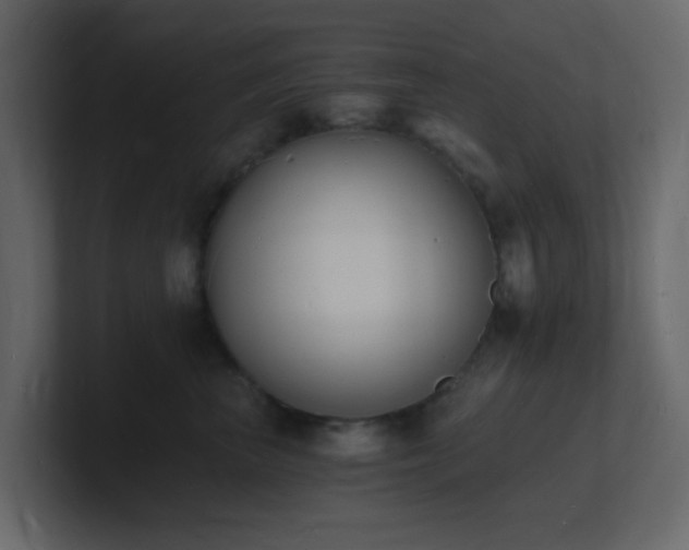 X0000101670667200807101401