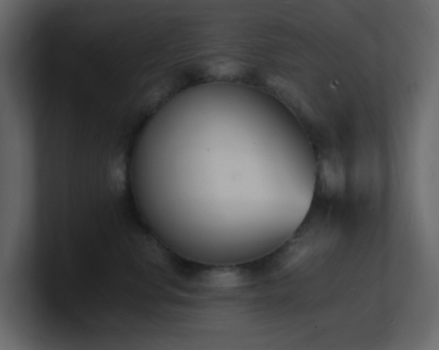 X0000101670668200807101401