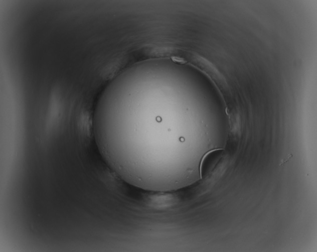 X0000101670669200807101401