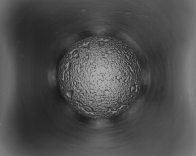 X0000101670670200807101401