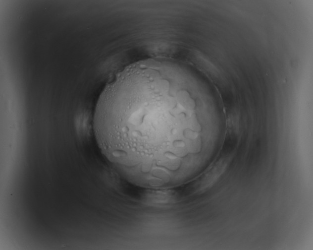 X0000101670671200807101401