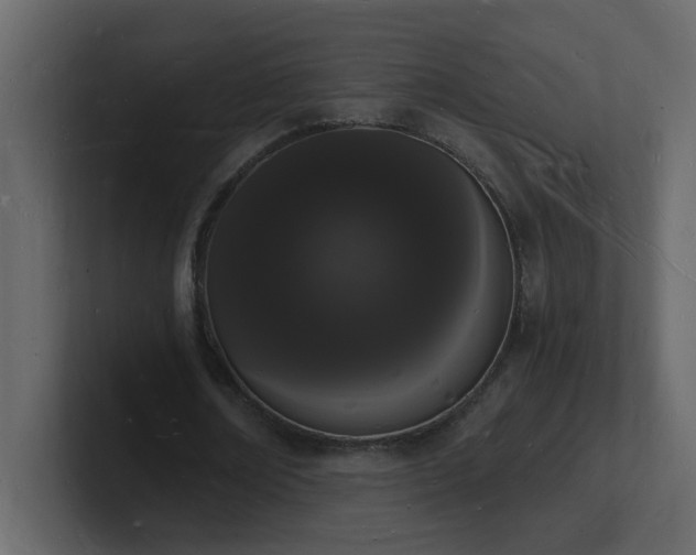 X0000101670674200807101400