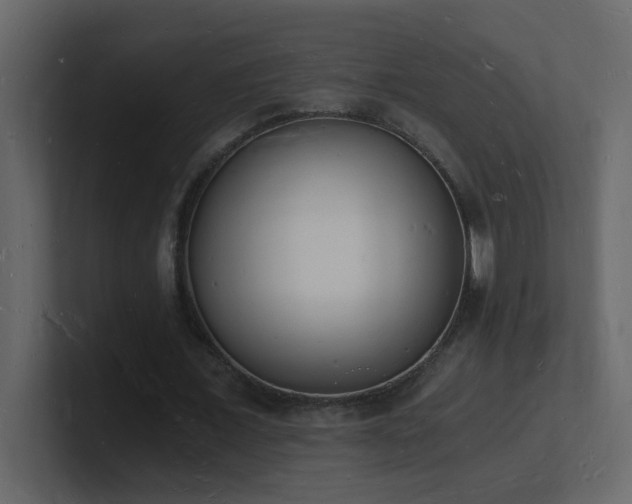 X0000101670675200807101400