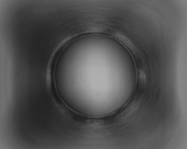 X0000101670676200807101400