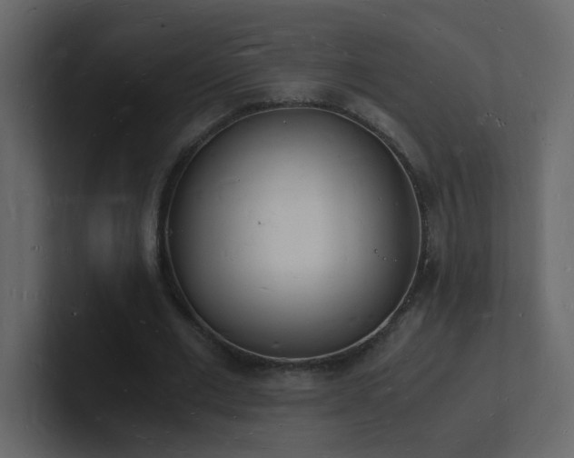 X0000101670677200807101400