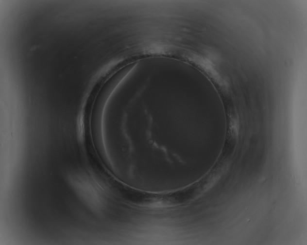 X0000101670678200807101400
