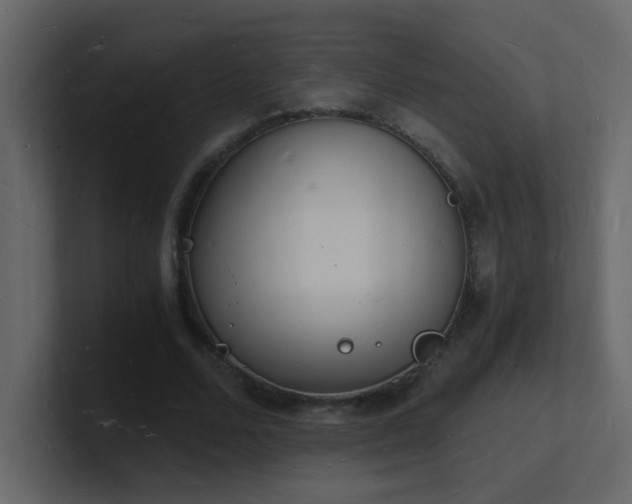 X0000101670680200807101400