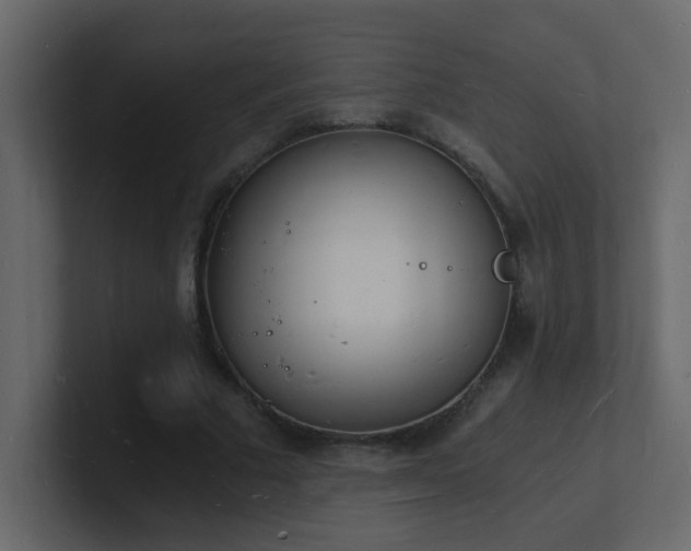 X0000101670681200807101400