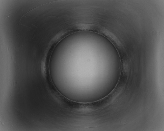 X0000101670682200807101400
