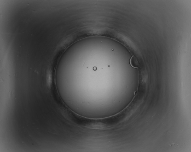 X0000101670685200807101400