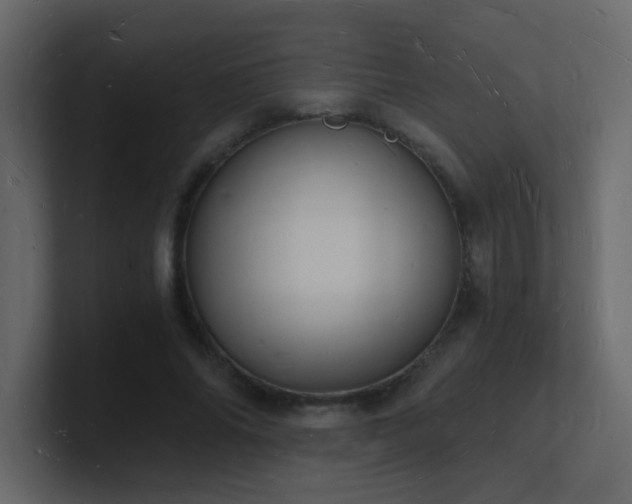 X0000101670686200807101400