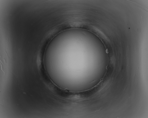 X0000101670687200807101400