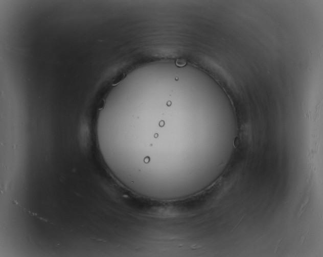 X0000101670688200807101400