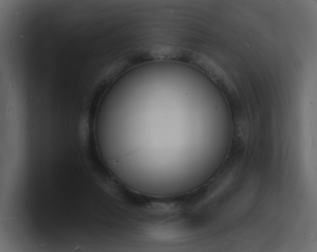 X0000101670690200807101400