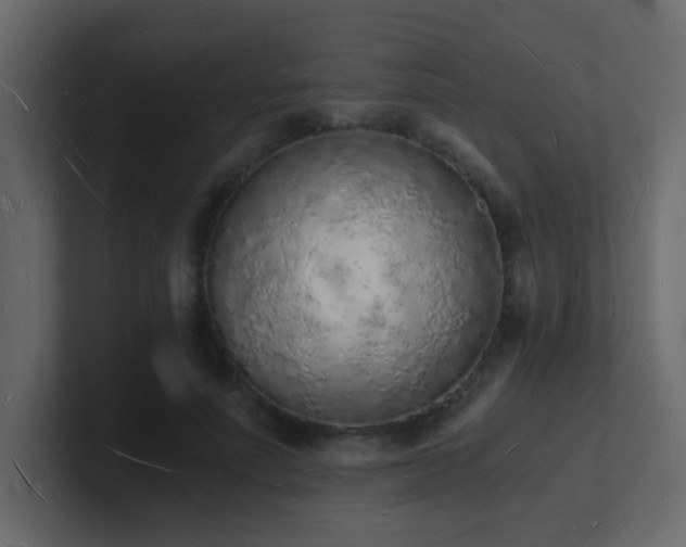 X0000101670691200807101400