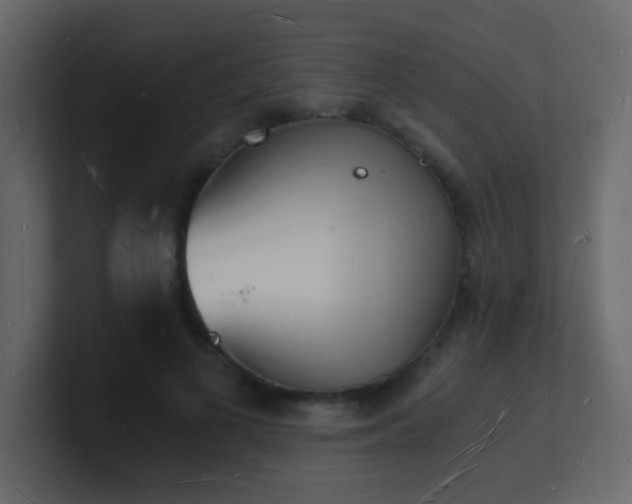 X0000101670693200807101400