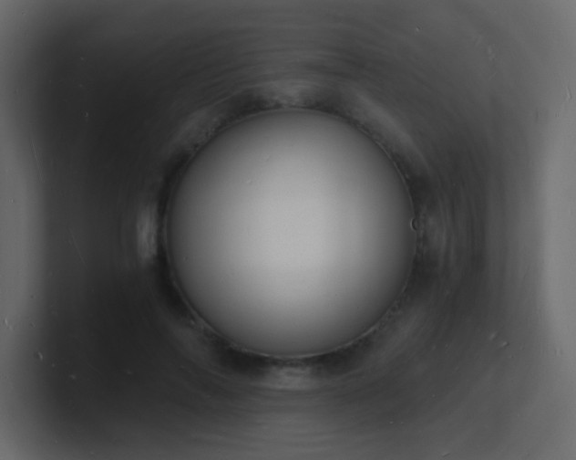 X0000101670694200807101400