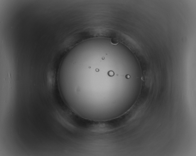 X0000101670695200807101400