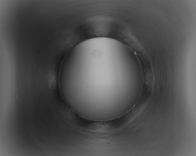 X0000101670697200807101400