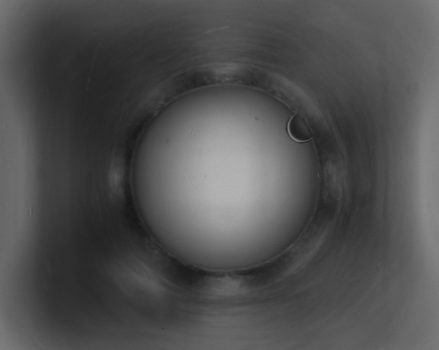 X0000101670698200807101400