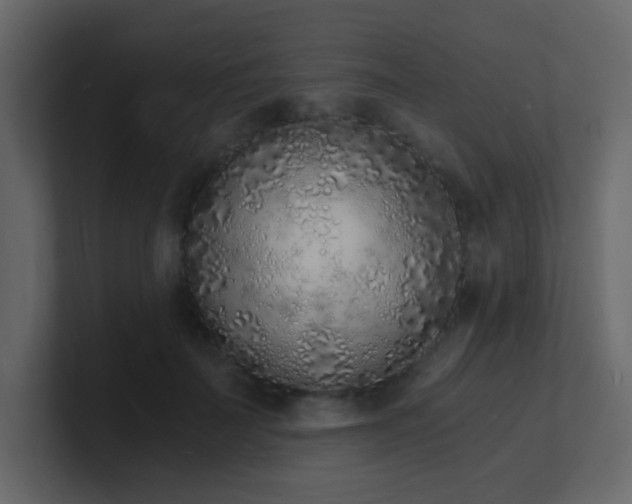 X0000101670699200807101400