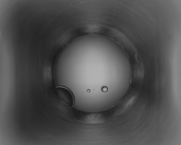 X0000101670700200807101400
