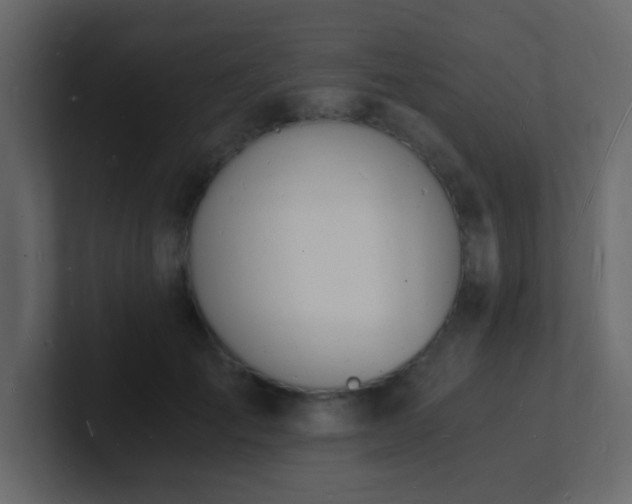 X0000101670701200807101400