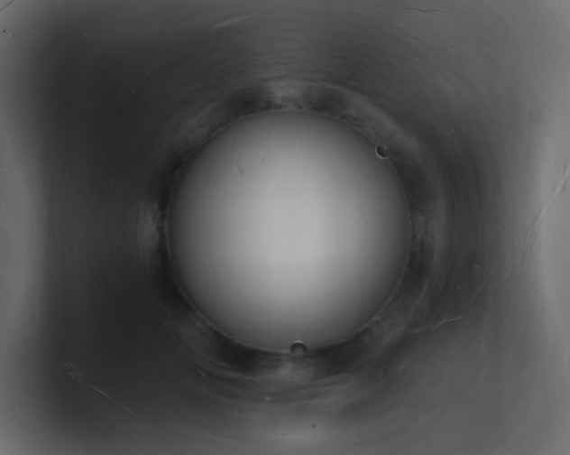 X0000101670702200807101400