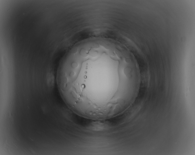 X0000101670703200807101400