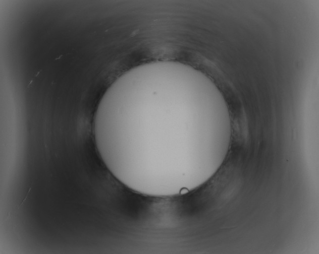 X0000101670705200807101400