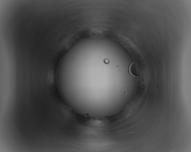 X0000101670706200807101400