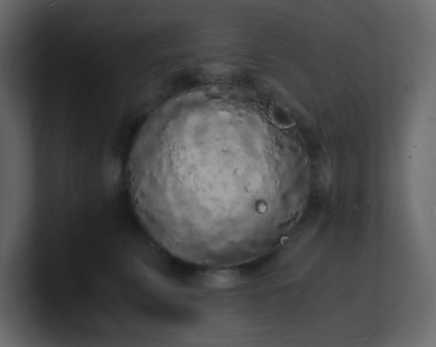 X0000101670711200807101400